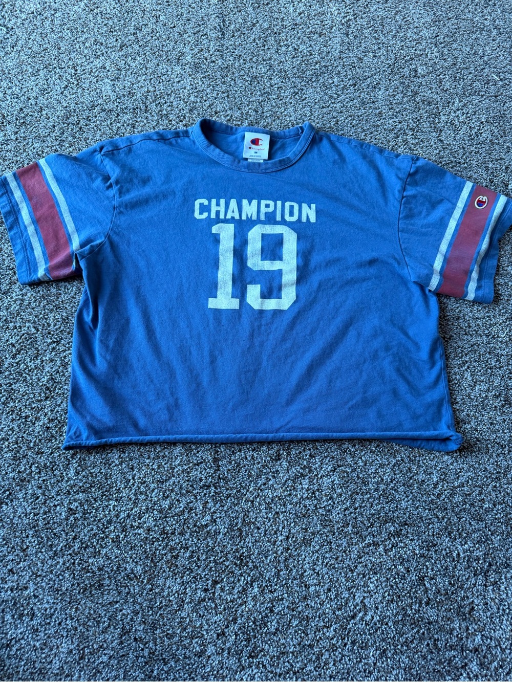 Champion Women’s M Quarter Distressed Crop Tee Blue Varsity 19 Oversized